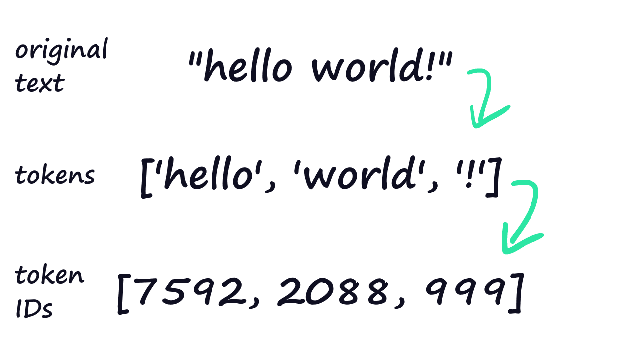 Preparing Text Data for Transformers: Tokenization, Mapping and Padding