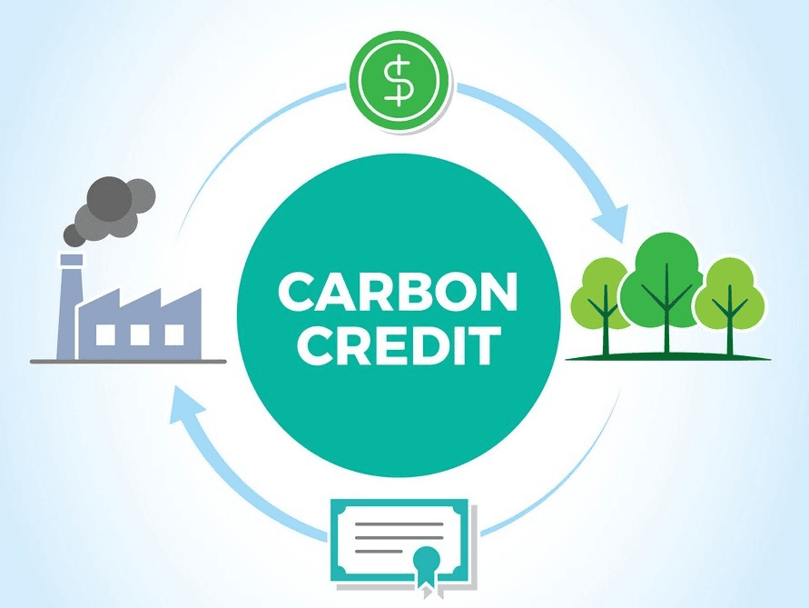 ISATS Carbon Credit Verification System